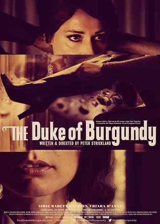 27 Duke of Burgundy